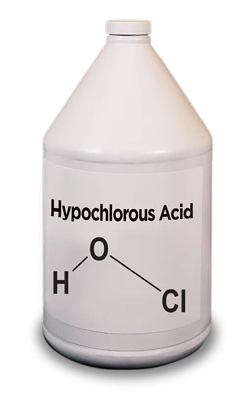 HOCI