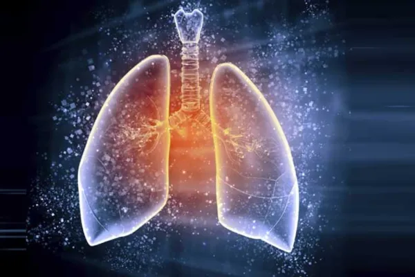 lung