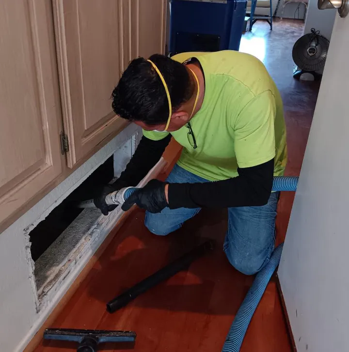 DIY vs Professional Duct Cleaning in Santa Barbara