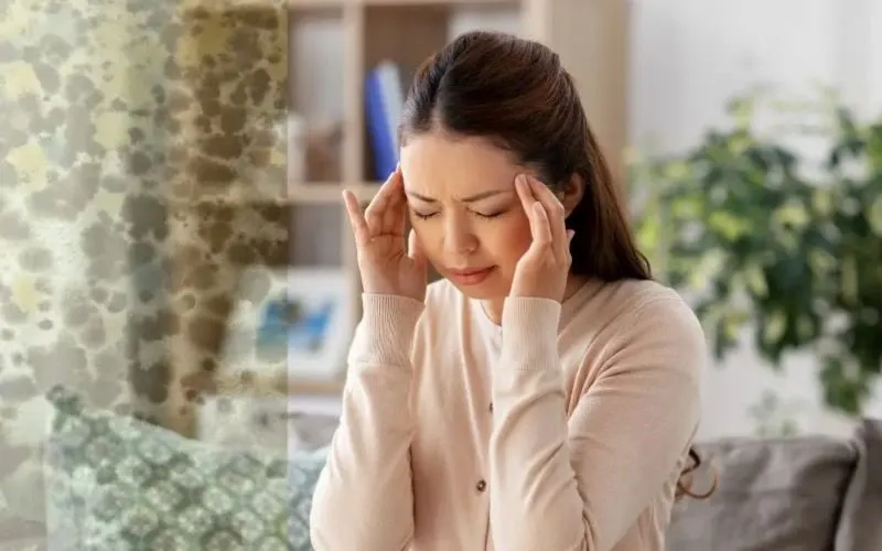 Health Risks of Mold Exposure