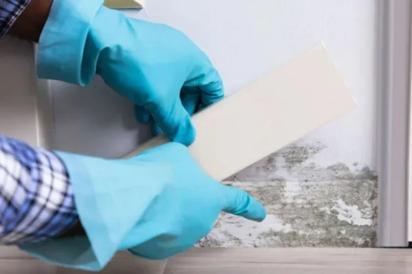 Is Mold Causing Your AFIB?