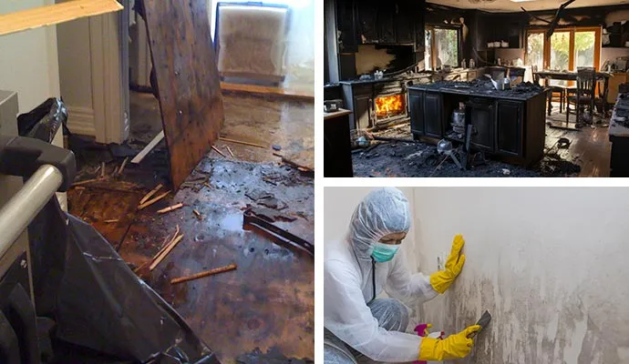 Mold Growth After Wildfire - Santa Barbara Mold Inspection