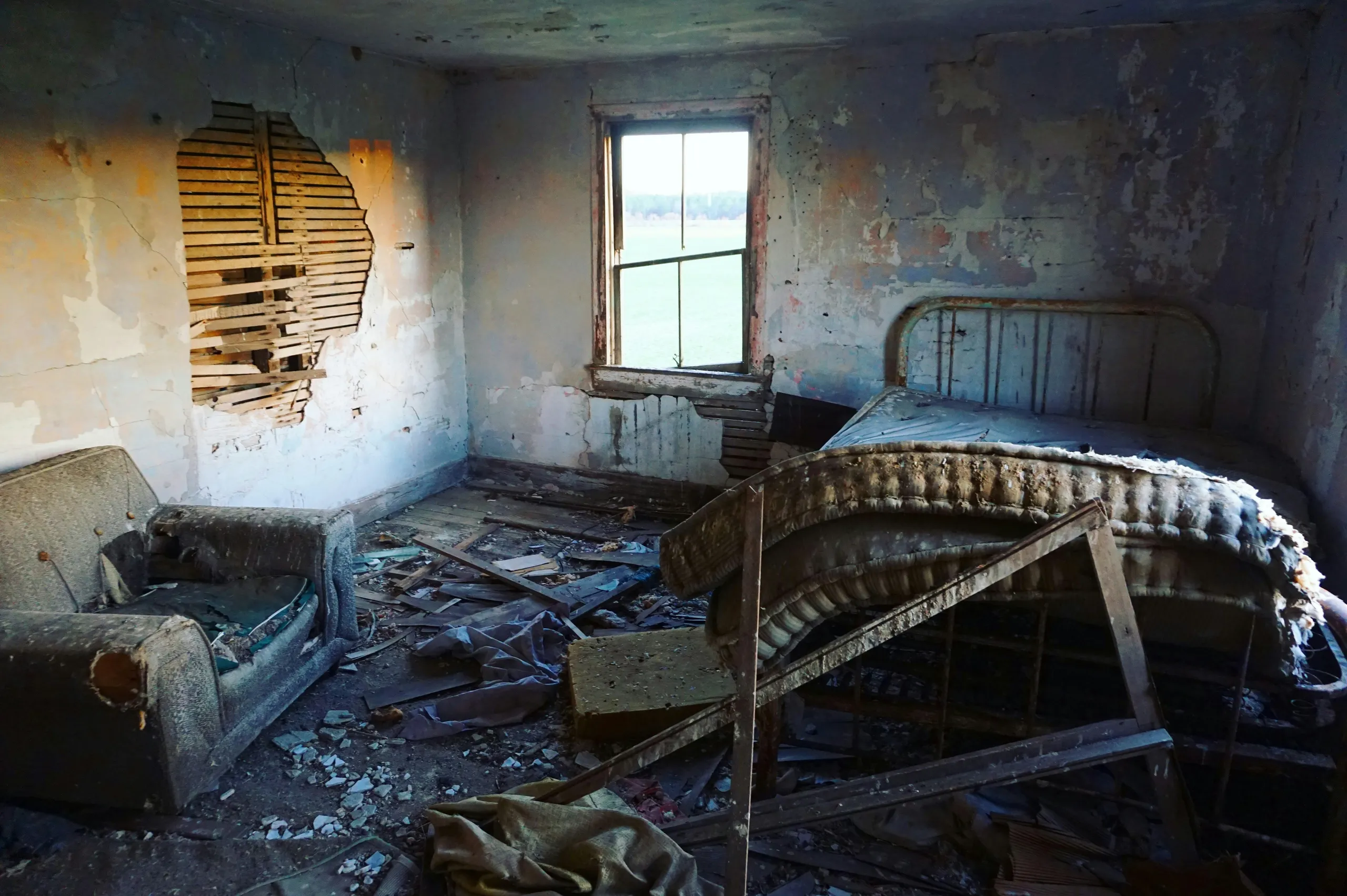 Mold Growth after Wildfire