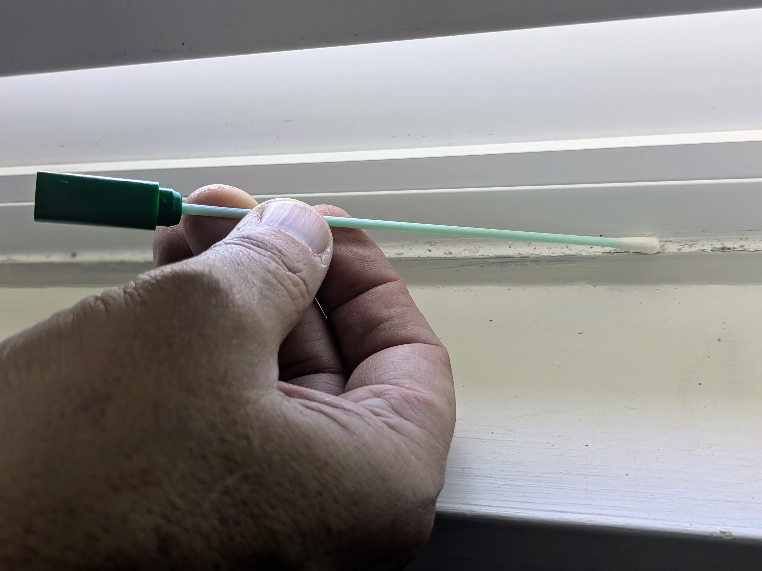 Mold Testing & DIY Removal in Santa Barbara | Safety First
