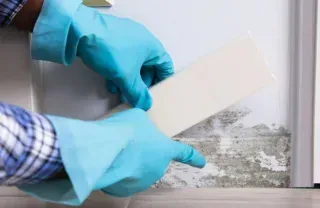 DIY Mold Santa Barbara