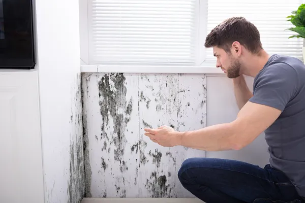 Preventing Mold