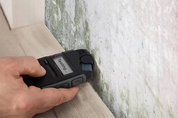 The Ultimate Guide to Understanding the Basics of Mold Inspection