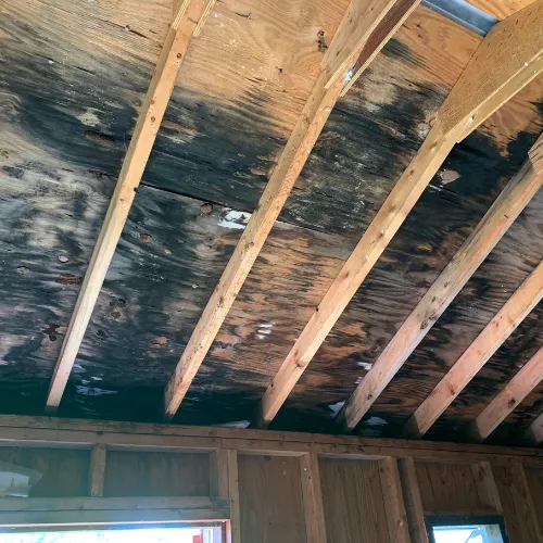 Mold