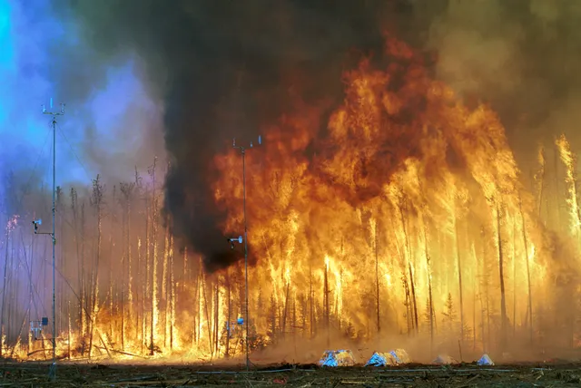 Understanding the Impact of Wildfire Smoke on Air Quality and Brain Health in Santa Barbara