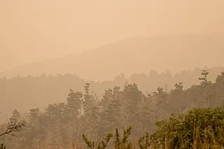 Smoky air from a wildfire creates terrible air quality.