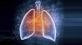 Lungs are harmed by particulate matter