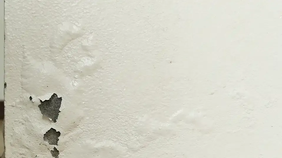 Effective Water Drainage Solutions - Prevent Water Damage